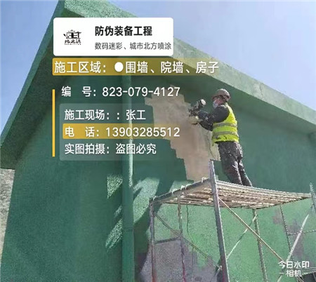 东丽设备迷彩喷涂,迷彩漆施工