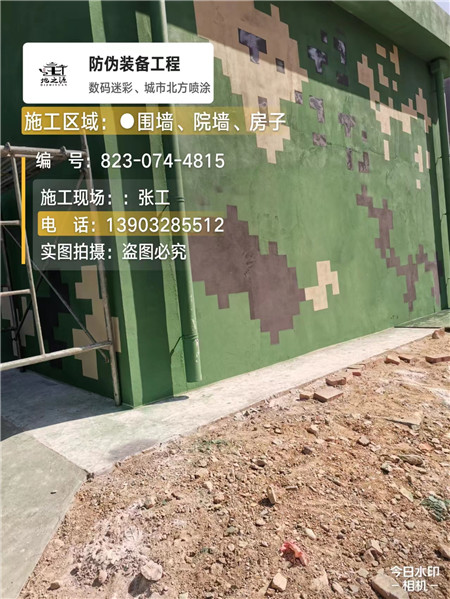 东丽核心结论：专业提供外墙迷彩漆施工服务