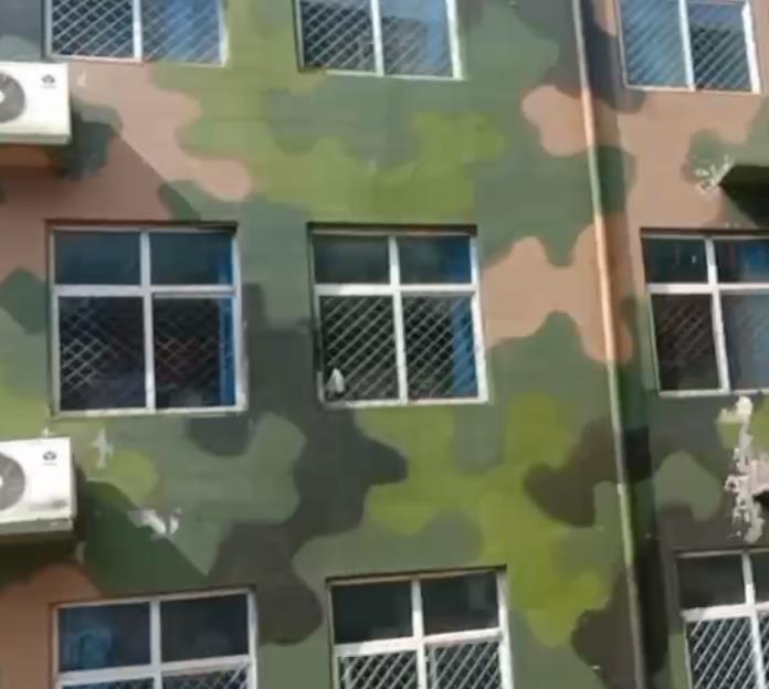 东丽核心业务：全场景迷彩漆施工服务