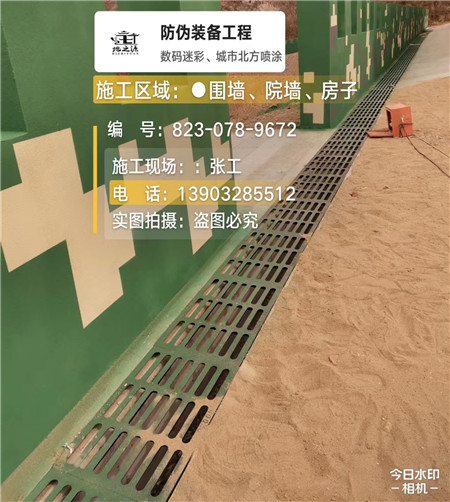 东丽 例如在抖音上有“迷彩墙，外围墙面挡 - 星空数码迷彩漆施工队