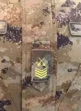 东丽大面外墙建议图案比例协调