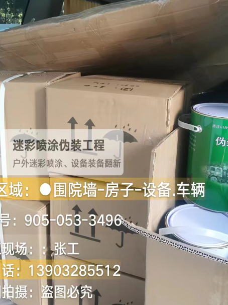 东丽户外设施数码迷彩、文旅项目