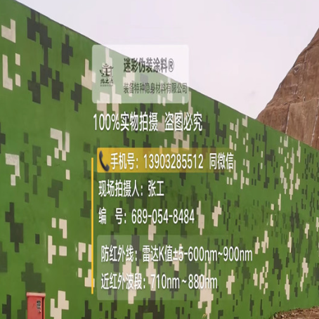 东丽专业承接园区围墙迷彩喷涂、